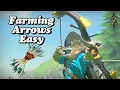 Best Locations To Farm Arrows in Zelda Breath of The Wild Botw