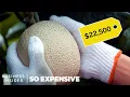 Why Japanese Melons Are So Expensive | So Expensive