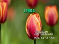 15378 - Planta e Raiz - Tati Portella - LINDA -==Karaoke–Videoke – Playback - Raf electronics
