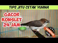 Download Lagu CARA MERAWAT BURUNG YUHINA AGAR CEPAT GACOR