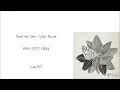 Park Hyo Shin-Wild flower [야생화] (Han/Rom/Eng lyrics)