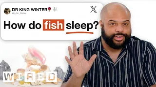 Marine Biologist Answers Fish Questions From Twitter | Tech Support | WIRED