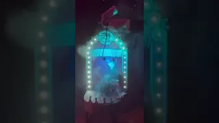 The Singer