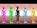 Lagu Dame Tu Cosita FULL HD | All Variation Dame Tu Cosita Music Video 2025