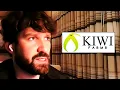 LOL Kiwifarms Owner Admits Destiny s Drama W