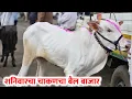Download Lagu शनिवारचा चाकणचा बैल बाजार,,दि-‌28/06/2025…Chakan Bail Bajar..Bail Bazar chakan..#Chakan