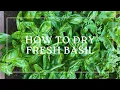 How To Dry Fresh Basil