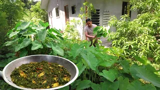 SPICY "LAING"!!! GARDEN TO TABLE! BUHAY PROBISNYA! BUHAY BUKID. Filipino Food. Mukbang! Philippines!