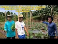 Download Lagu MAGULANG ANG INSPIRATION NAMIN MAGKAKAPATID  KAYA NAPAPALWAK NAMIN ANG TANIMAN @bomboyvlogs3518