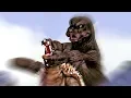 SFM Godzilla vs Anguirus
