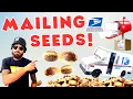 DO NOT BUY SEEDS WITHOUT WATCHING THIS FIRST