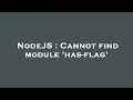 NodeJS Cannot find module has-flag