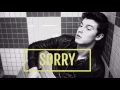 Download Lagu Shawn Mendes — Imagine Pt. 1 • Sorry