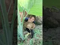 Download Lagu Mastran burung lucu viral kocak ngakak meme funny memes moments