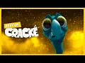 Lagu CRACKÉ - BUZZ ED | Cartoon Animation | Compilation