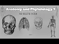 The Skeletal System A P 1