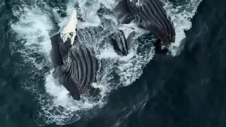  وأيوب اذ نادى ربه أني مسني الضر  تجويد اعجازي للشيخ عبدالباسط رحمه الله    دندنها