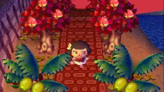 animal crossing wild world town tour suncombe