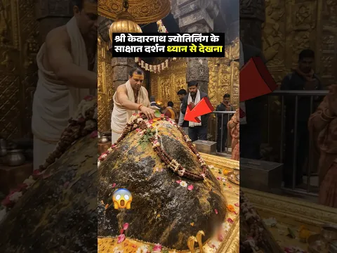 श्री केदारनाथ ज्योतिर्लिंग साक्षात दर्शन 🔱😲ध्यान से देखना #Kedarnath #shortsfeed #mahadev #viral