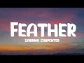 Download Lagu Sabrina Carpenter - Feather (Lyrics)