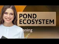 Exploring the Pond Ecosystem A Dive into Nature