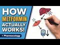 Metformin in 10 Minutes Mechanism Dosing Side Effects Clinical Pearls