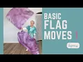 Basic Flag Moves 1
