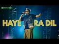 Download Lagu Haye Mera Dil live Concert Yo Yo Honey Singh x Alfaaz 😍| Honey Singh Millionaire Tour Haye Mera Dil🔥