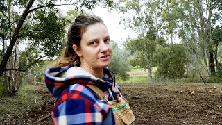 We let them down 😭 The reality of our new life on the land – Free Range Homestead Ep 13