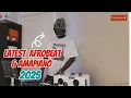 Download Lagu 001 DEW FM  (2025 Afrobeat, Amapiano Mix by Djtydolla)