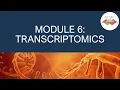 Bioinformatics Workshop 2022 Module 6 Transcriptomics
