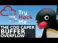 TryHackMe Buffer Overflow Penetration Testing
