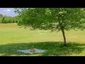 Download Lagu this little life - a piano playlist