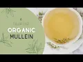 Benefits of Organic Mullein Tea