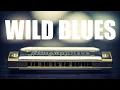 Download Lagu Wild Harmonica Blues | Instrumental BGM Music