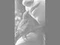 Library Tapes - Parlour Variation II