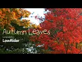 Autumn LeavesㅣBGMㅣ배경 음악ㅣBack Ground MusicㅣLowRiderㅣKineMaster Musicㅣ키네마스터 뮤직