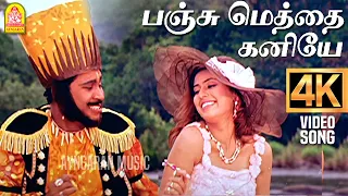 panju meththai kaniyae 4k video song imsai arasan 23am pulikesi vadivelu