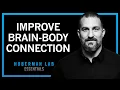 Improving Health With Stronger Brain-Body Connection Huberman Lab Essentials