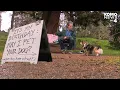 Seattle man pets hundreds of dogs for his birt ay present