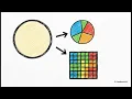 Univariate Visualization