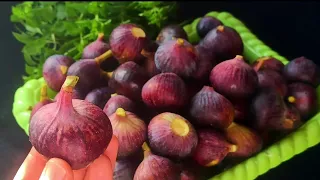 AVEZ-VOUS LES FIGUES❓CONFITURE FIGUES MAISON RAPIDE ET RÉUSSIE 💯‼️Recette Figues Cuisine Marocaine 