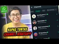 Download Lagu WhatsApp Channel: Cara Menggunakan dan Manfaatnya bagi Bisnis Anda