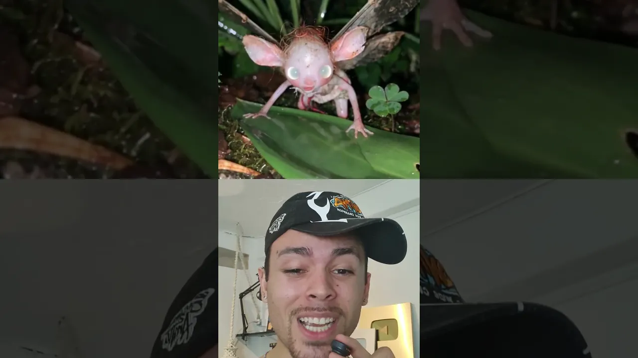 DESAFIO IMPUSSÍVEL