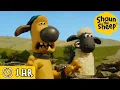 Download Lagu Shaun the Sheep 🐑 The Suspicious Sheep 😨🚨 Full Episodes Compilation [1 hour]