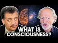 Download Lagu The Mystery of Conscious Thought