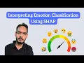 Visualize NLP Model Explanations with SHAP Model Interpretability