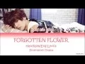 Download Lagu Kang Min Hyuk (강민혁) - Forgotten Flower (HAN|ROM|ENG) Color Coded Lyrics