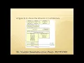 Windows Socket API s WinSock Architecture in Network Programming Mr NEETISH KUMAR CHANDRAKAR