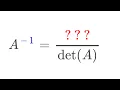Adjugate Matrix